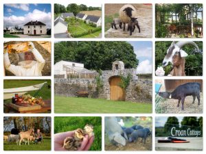 Introduction to smallholding Course