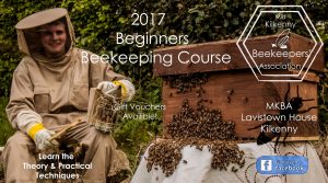 beginners beekeeping course