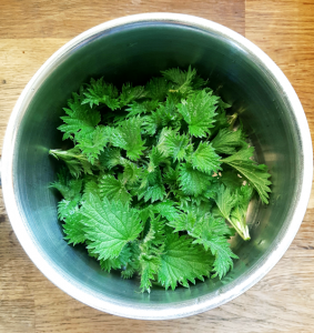 Nettle and Wild Garlic Pesto