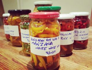 Pickled Peppers