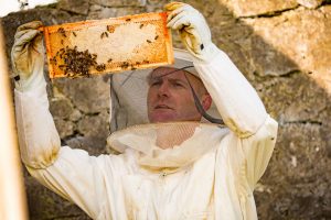 Introduction to Beekeeping