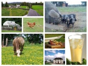 Sustainable Stays: Enjoy an Eco-Friendly Getaway at Croan Cottages