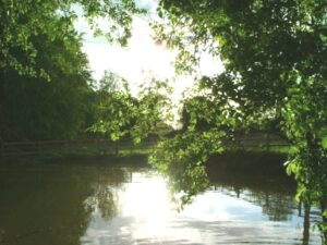 summer accommodation in kilkenny