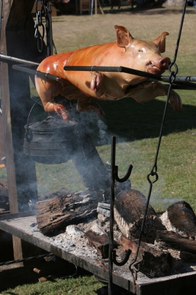 spit roast at a wedding at Croan