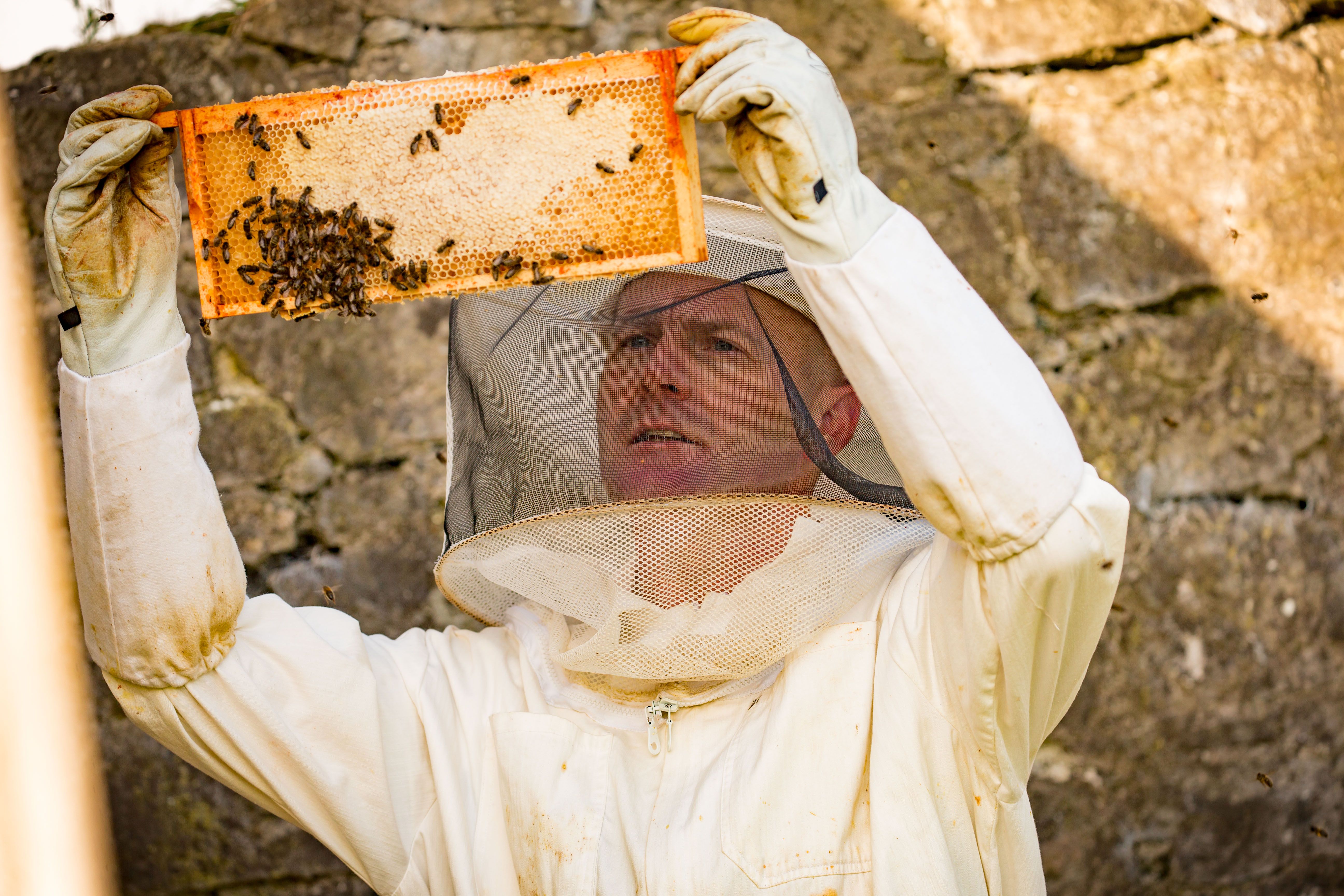 Introduction to Beekeeping « Croan Self Catering Cottages in Ireland