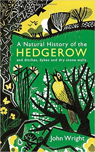 Hedgerow