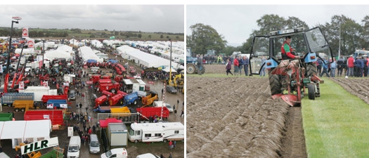accommodation for the ploughing championship