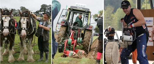 ploughing championship accommodation